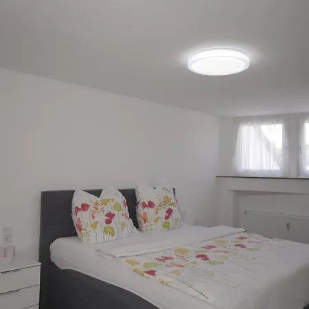 شقة In Zentrum 2 غيرولشتاين