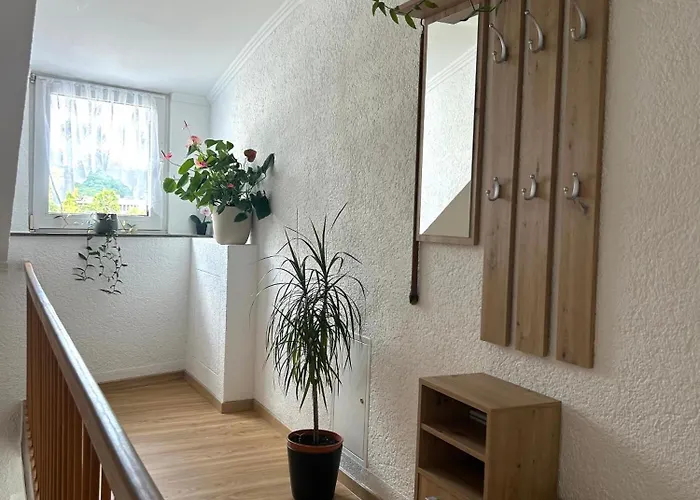 In Zentrum 2 * Gerolstein